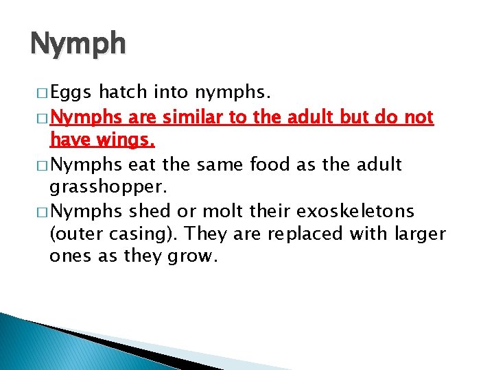 Nymph � Eggs hatch into nymphs. � Nymphs are similar to the adult but