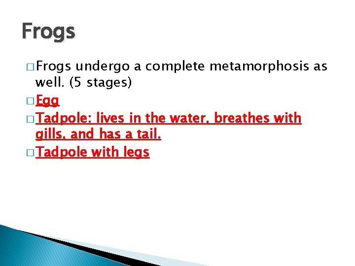 Frogs � Frogs undergo a complete metamorphosis as well. (5 stages) � Egg �