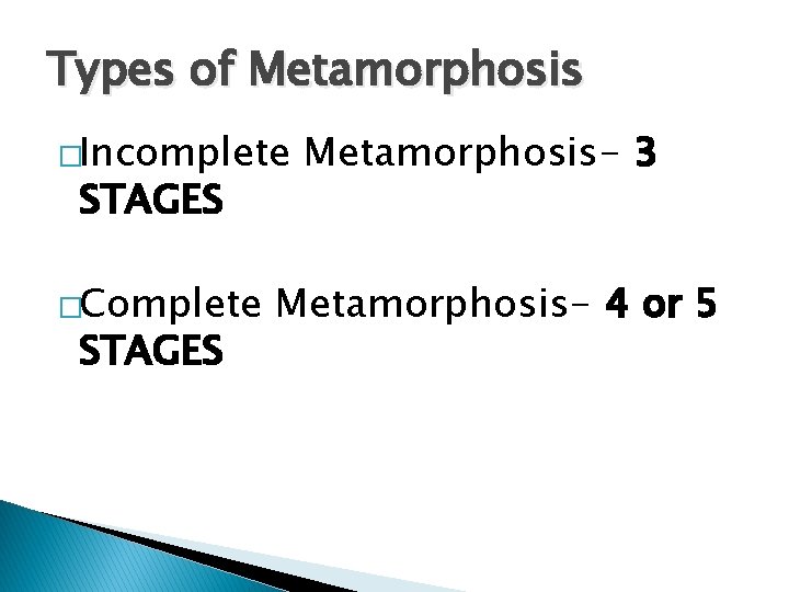 Types of Metamorphosis �Incomplete STAGES �Complete STAGES Metamorphosis- 3 Metamorphosis- 4 or 5 