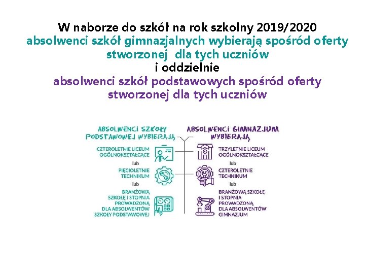 W naborze do szkół na rok szkolny 2019/2020 absolwenci szkół gimnazjalnych wybierają spośród oferty