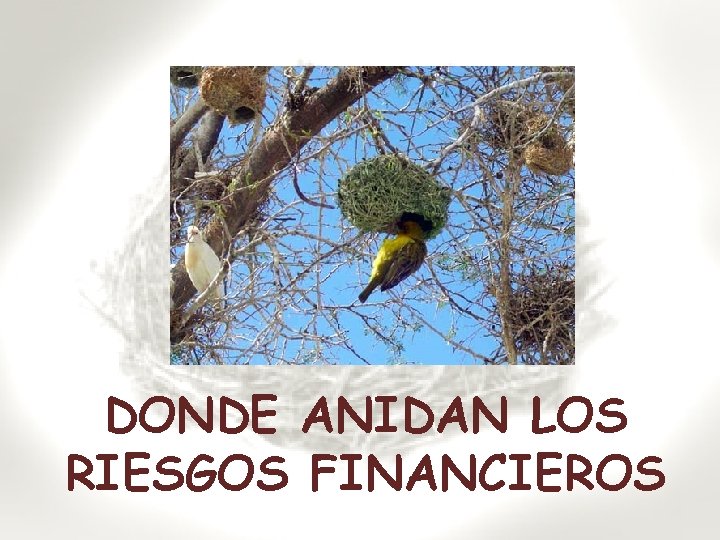 DONDE ANIDAN LOS RIESGOS FINANCIEROS 