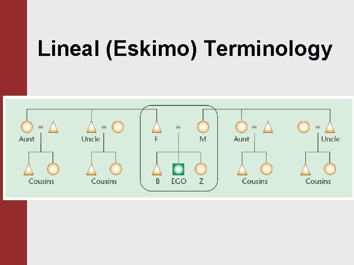 Lineal (Eskimo) Terminology 