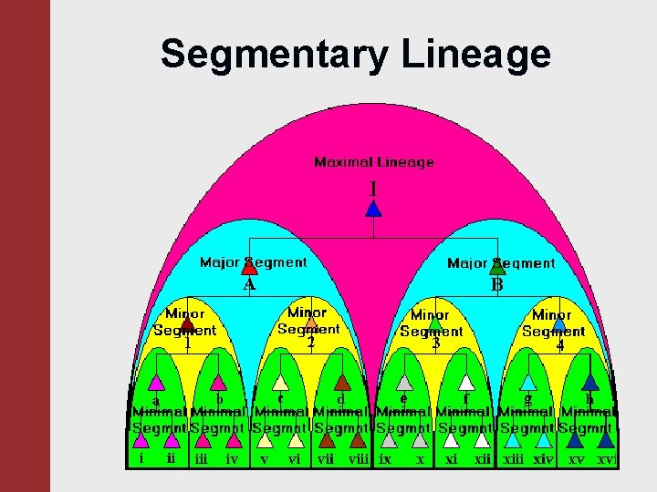 Segmentary Lineage 