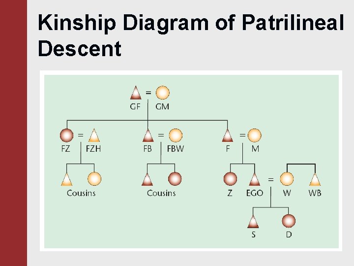 Kinship Diagram of Patrilineal Descent 