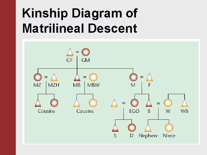 Kinship Diagram of Matrilineal Descent 