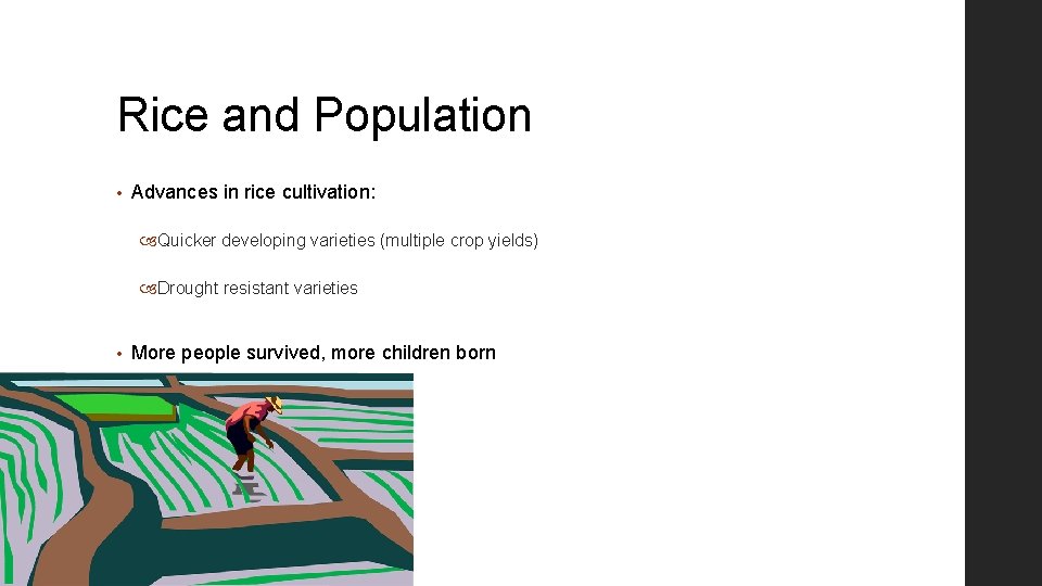 Rice and Population • Advances in rice cultivation: Quicker developing varieties (multiple crop yields)
