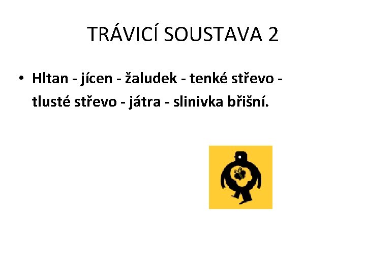 TRÁVICÍ SOUSTAVA 2 • Hltan - jícen - žaludek - tenké střevo tlusté střevo