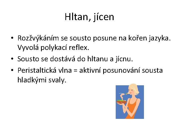 Hltan, jícen • Rozžvýkáním se sousto posune na kořen jazyka. Vyvolá polykací reflex. •