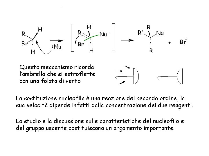 Questo meccanismo ricorda l’ombrello che si estroflette con una folata di vento. La sostituzione