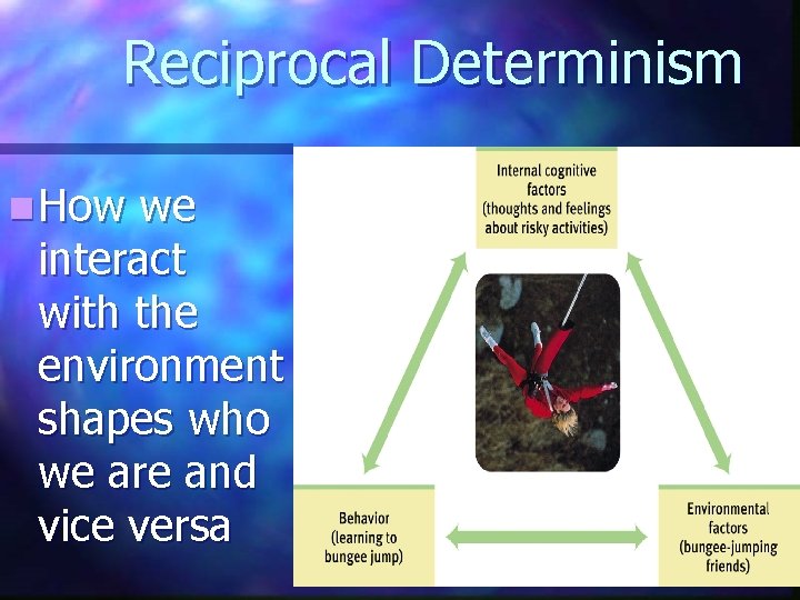 Reciprocal Determinism n How we interact with the environment shapes who we are and