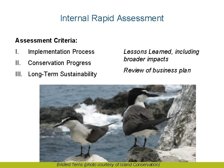 Internal Rapid Assessment Criteria: I. Implementation Process II. Conservation Progress III. Long-Term Sustainability Lessons