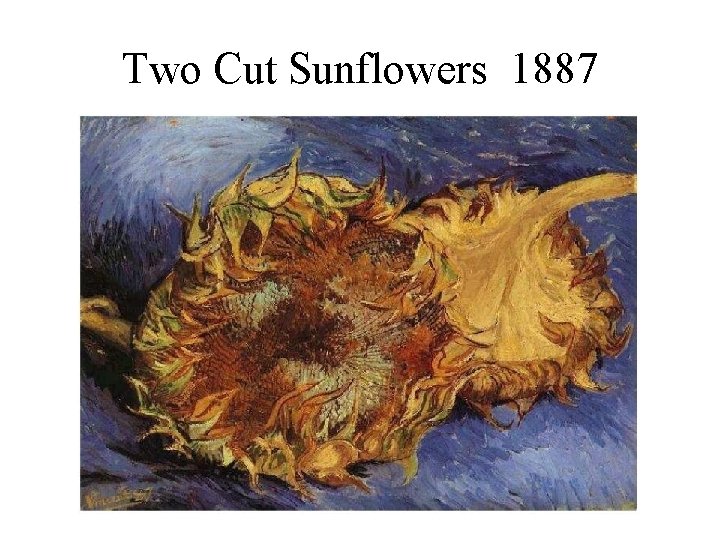 Two Cut Sunflowers 1887 