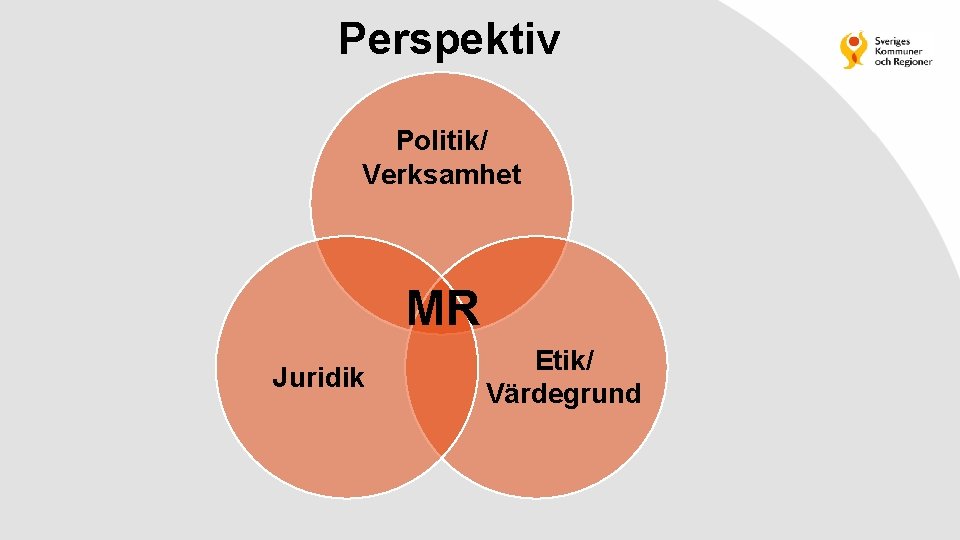 Perspektiv Politik/ Verksamhet MR Juridik Etik/ Värdegrund 