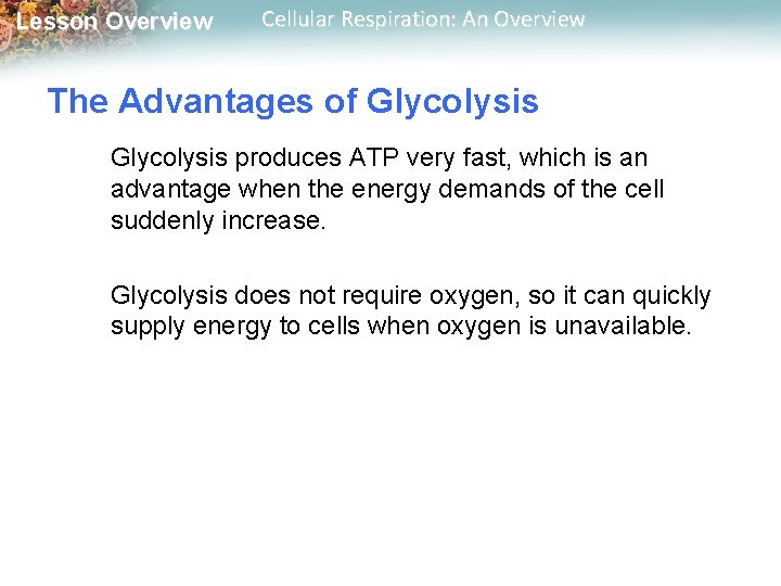 Lesson Overview Cellular Respiration: An Overview The Advantages of Glycolysis produces ATP very fast,