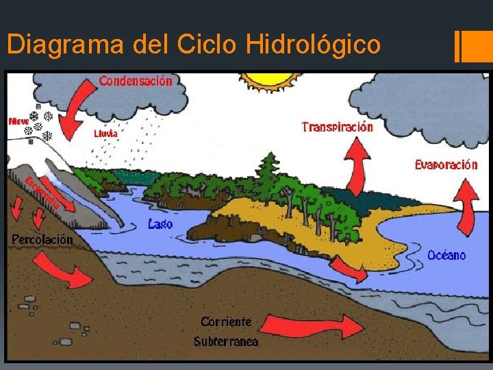 Diagrama del Ciclo Hidrológico 