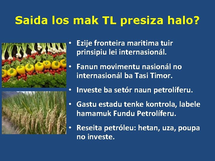 Saida los mak TL presiza halo? • Ezije fronteira maritima tuir prinsipiu lei internasionál.