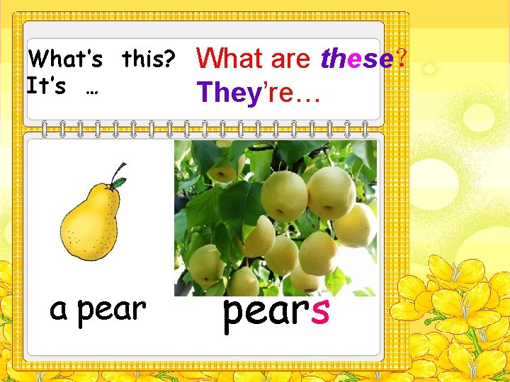 What’s this? It’s … a pear What are these？ They’re… pears 