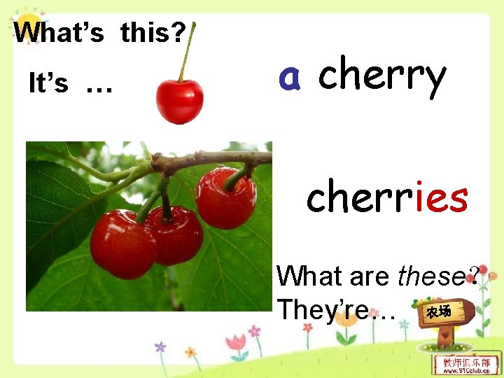 What’s this? It’s … a cherry cherries What are these？ They’re… 农场 