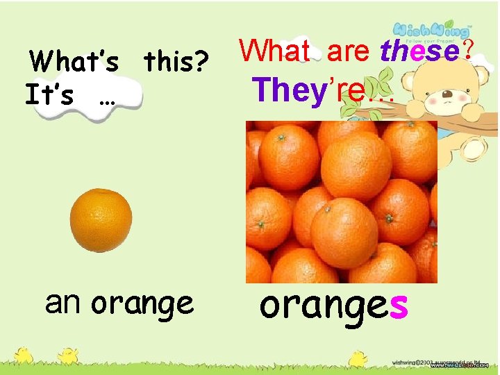 What’s this? It’s … an orange What are these？ They’re… oranges 