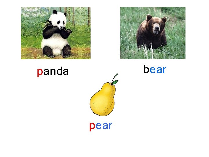 bear panda pear 