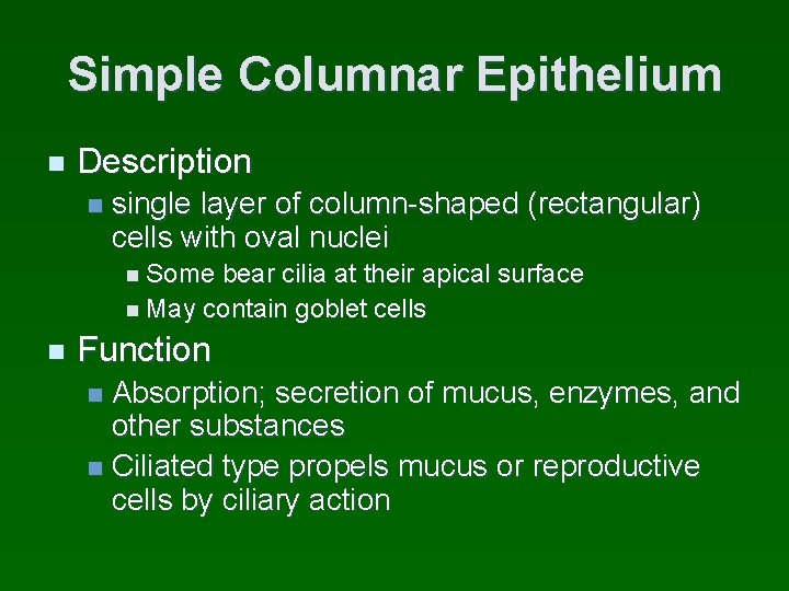 Simple Columnar Epithelium n Description n single layer of column-shaped (rectangular) cells with oval