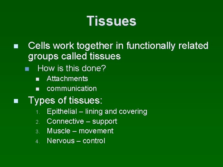 Tissues n Cells work together in functionally related groups called tissues n How is