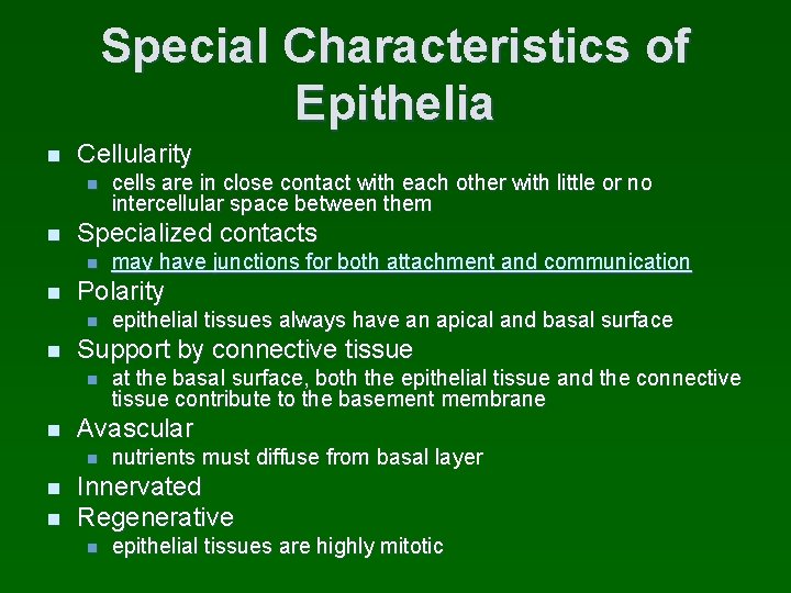 Special Characteristics of Epithelia n Cellularity n n Specialized contacts n n n at