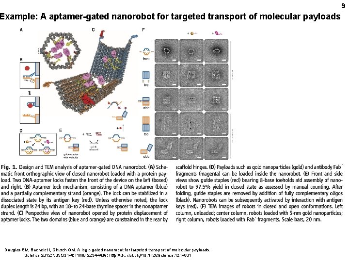 Discovery of DNA and RNA aptamers DNA enzymes
