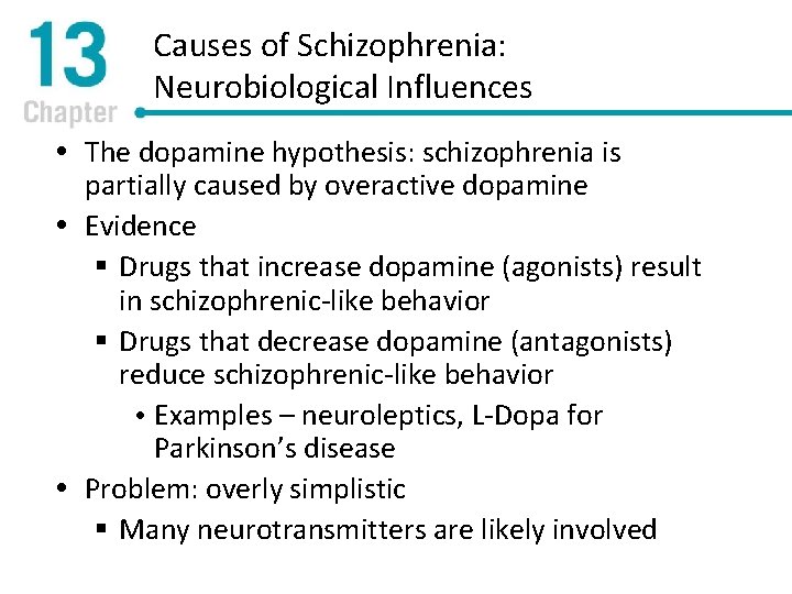 Causes of Schizophrenia: Neurobiological Influences The dopamine hypothesis: schizophrenia is partially caused by overactive