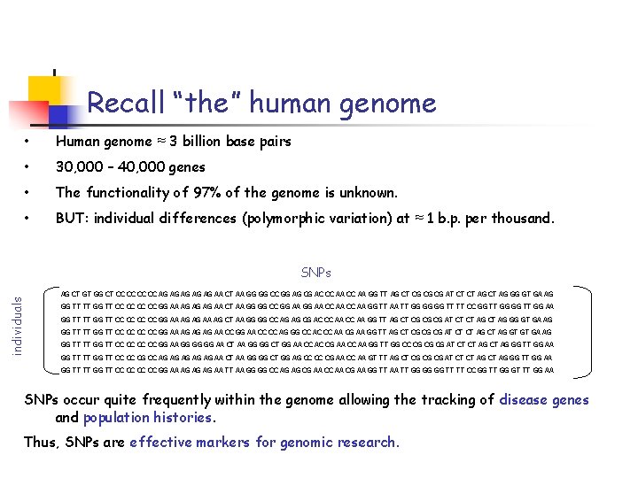 Recall “the” human genome • Human genome ≈ 3 billion base pairs • 30,