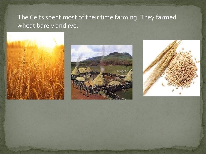 The Celts spent most of their time farming. They farmed wheat barely and rye.