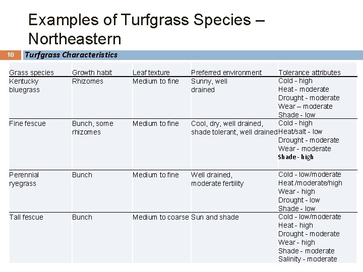 Examples of Turfgrass Species – Northeastern 10 Turfgrass Characteristics Grass species Kentucky bluegrass Growth