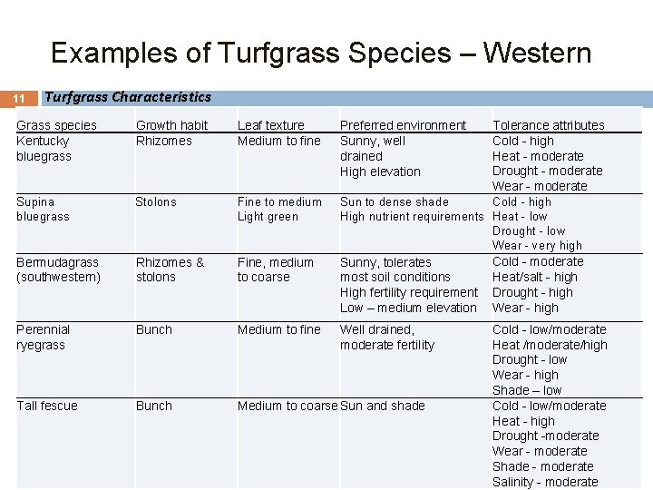 Examples of Turfgrass Species – Western 11 Turfgrass Characteristics Grass species Kentucky bluegrass Growth