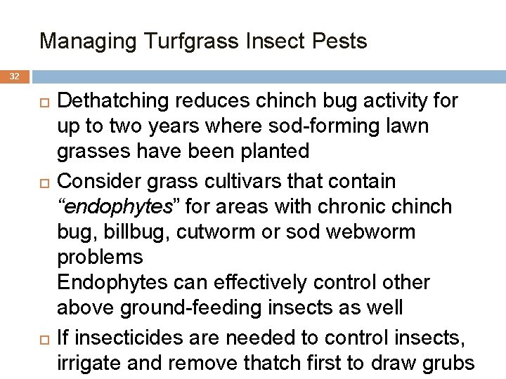 Managing Turfgrass Insect Pests 32 Dethatching reduces chinch bug activity for up to two