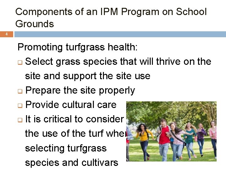 Components of an IPM Program on School Grounds 4 Promoting turfgrass health: q Select