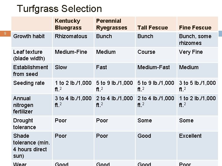 Turfgrass Selection 9 Kentucky Bluegrass Perennial Ryegrasses Tall Fescue Fine Fescue Growth habit Rhizomatous