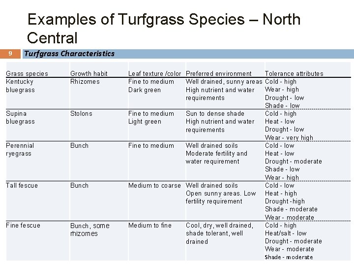 Examples of Turfgrass Species – North Central 9 Turfgrass Characteristics Grass species Kentucky bluegrass