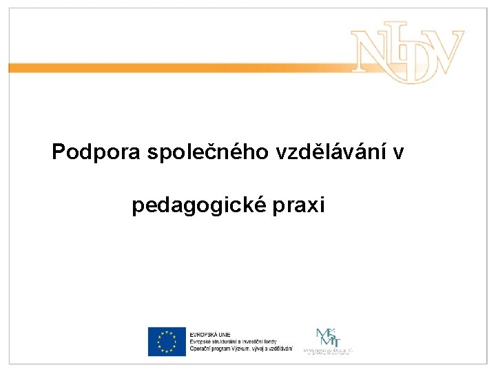 Podpora společného vzdělávání v pedagogické praxi 