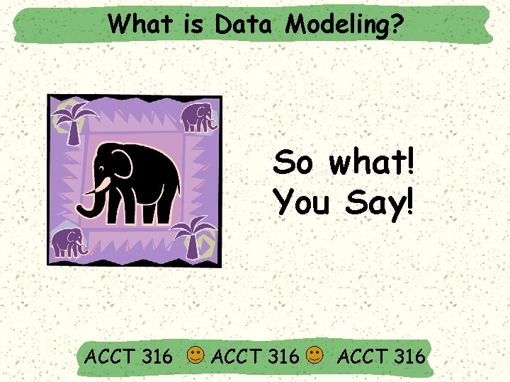 What is Data Modeling? So what! You Say! ACCT 316 