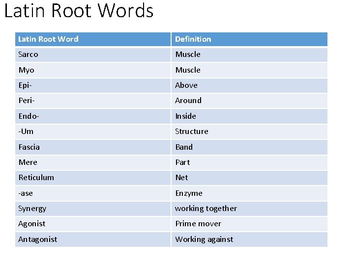 Latin Root Words Latin Root Word Definition Sarco Muscle Myo Muscle Epi- Above Peri-