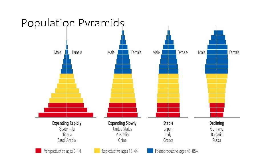 Population Pyramids 