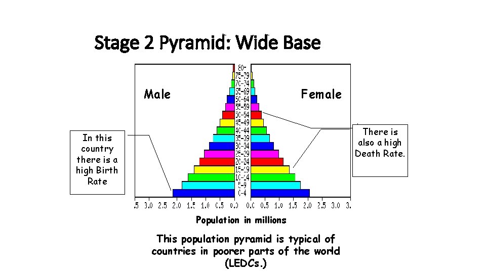 Stage 2 Pyramid: Wide Base Male Female There is also a high Death Rate.