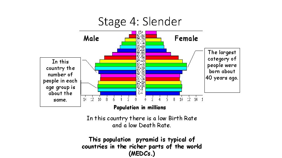 Stage 4: Slender Male Female The largest category of people were born about 40