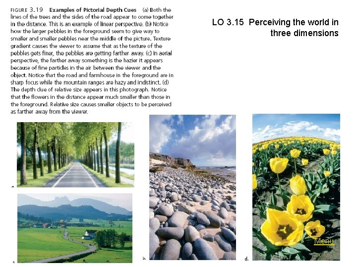 LO 3. 15 Perceiving the world in three dimensions Menu 