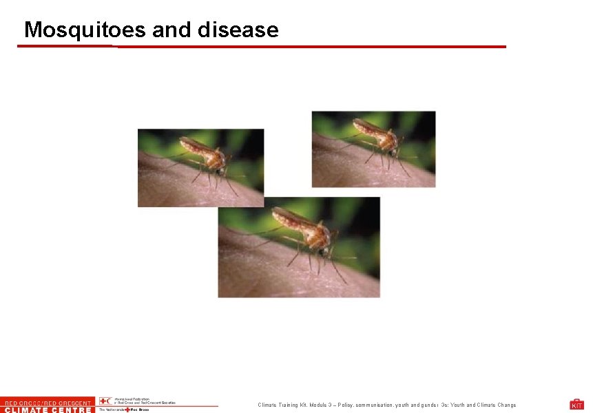 Mosquitoes and disease Climate Training Kit. Module 3 – Policy, communication, youth and gender