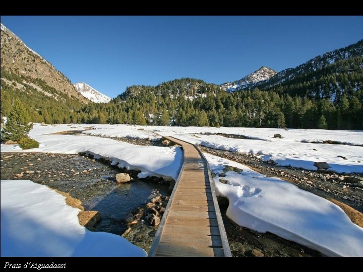Prats d‘Aiguadassi 