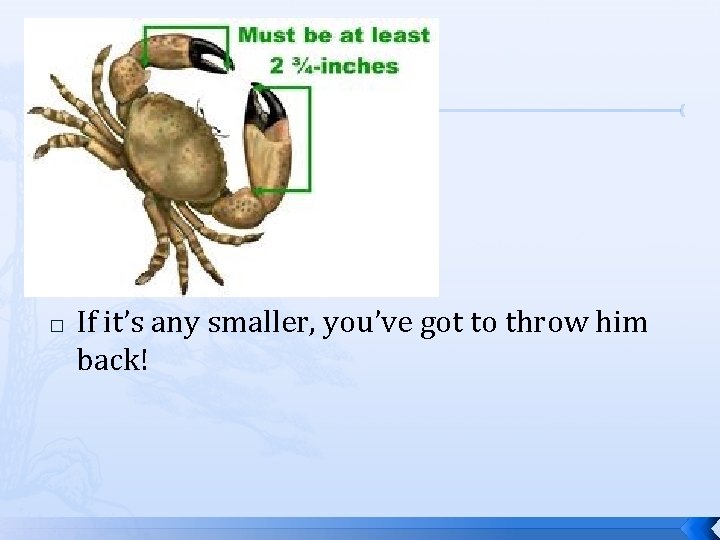 � If it’s any smaller, you’ve got to throw him back! 