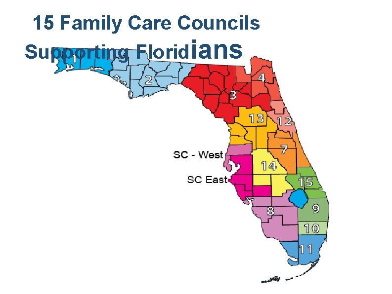 15 Family Care Councils Supporting Floridians 
