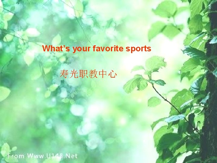 What’s your favorite sports 寿光职教中心 