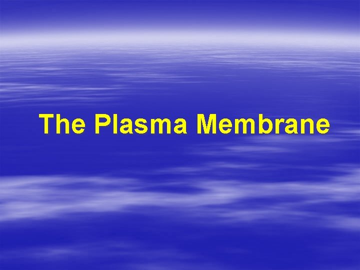 The Plasma Membrane 